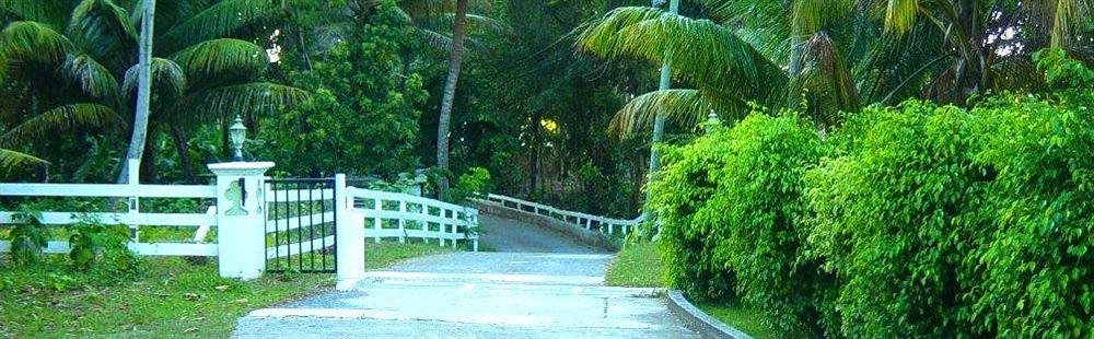 Icis Villas Brewers Bay ภายนอก รูปภาพ